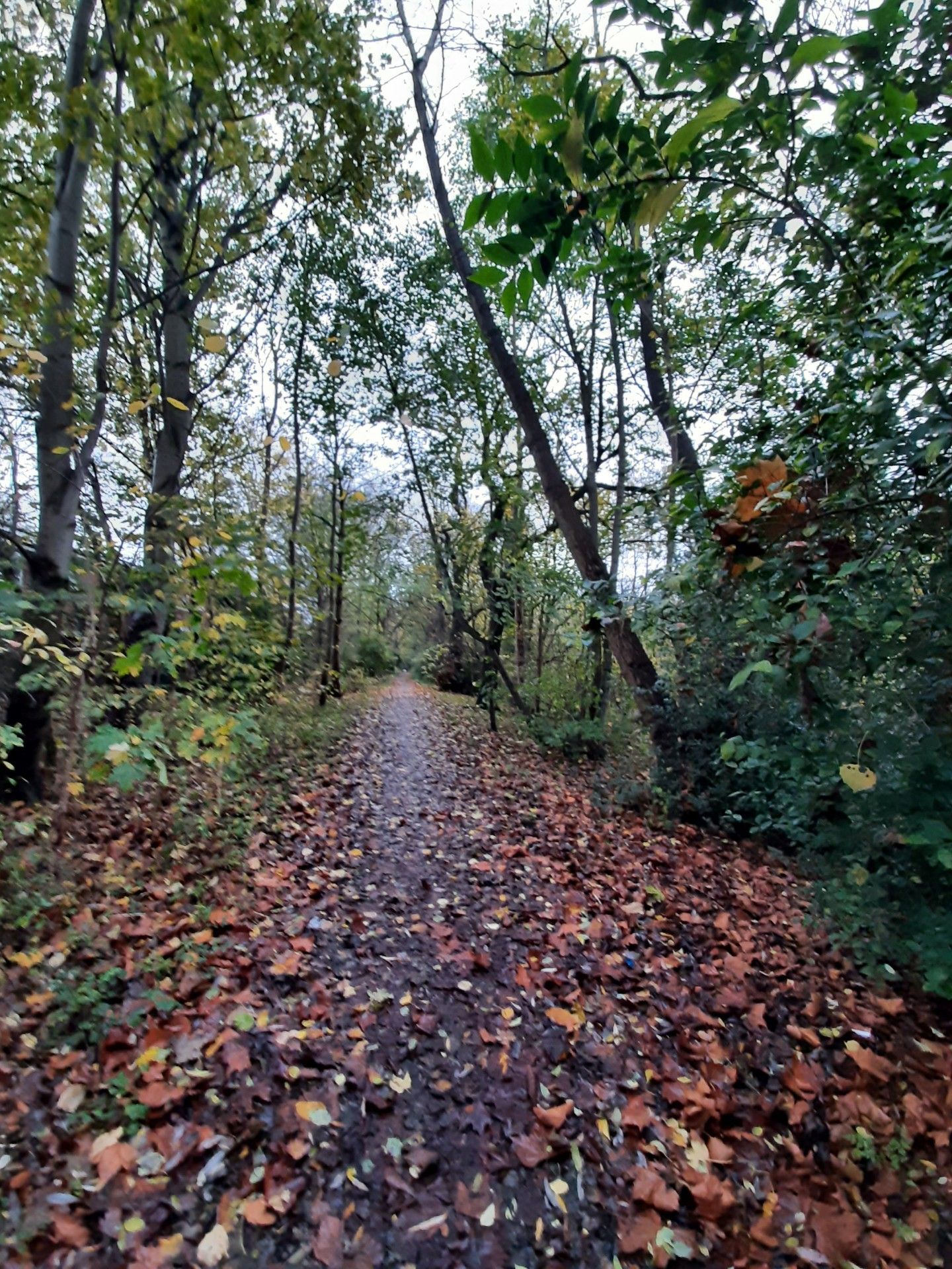 Gorton Heritage Trail